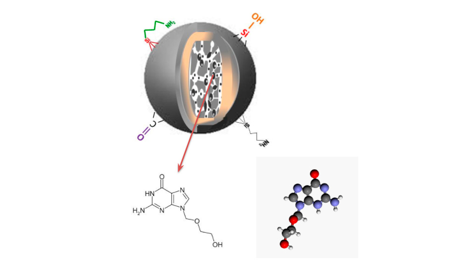 Silicon Oxycarbide Nanoparticles as New Drug Delivery Materials for Infectious Disease Treatments