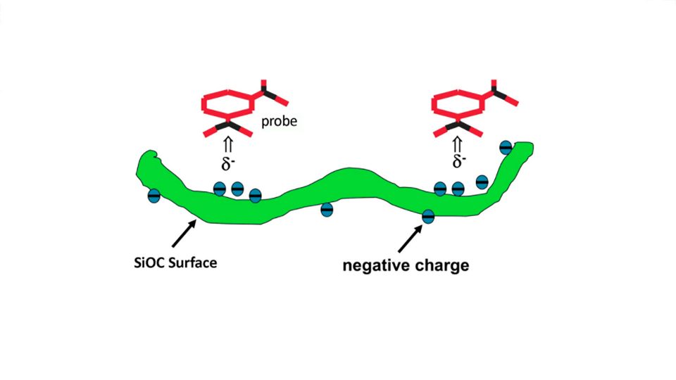 Surface characterization of porous silicon oxycarbide ceramics for biomedical applications